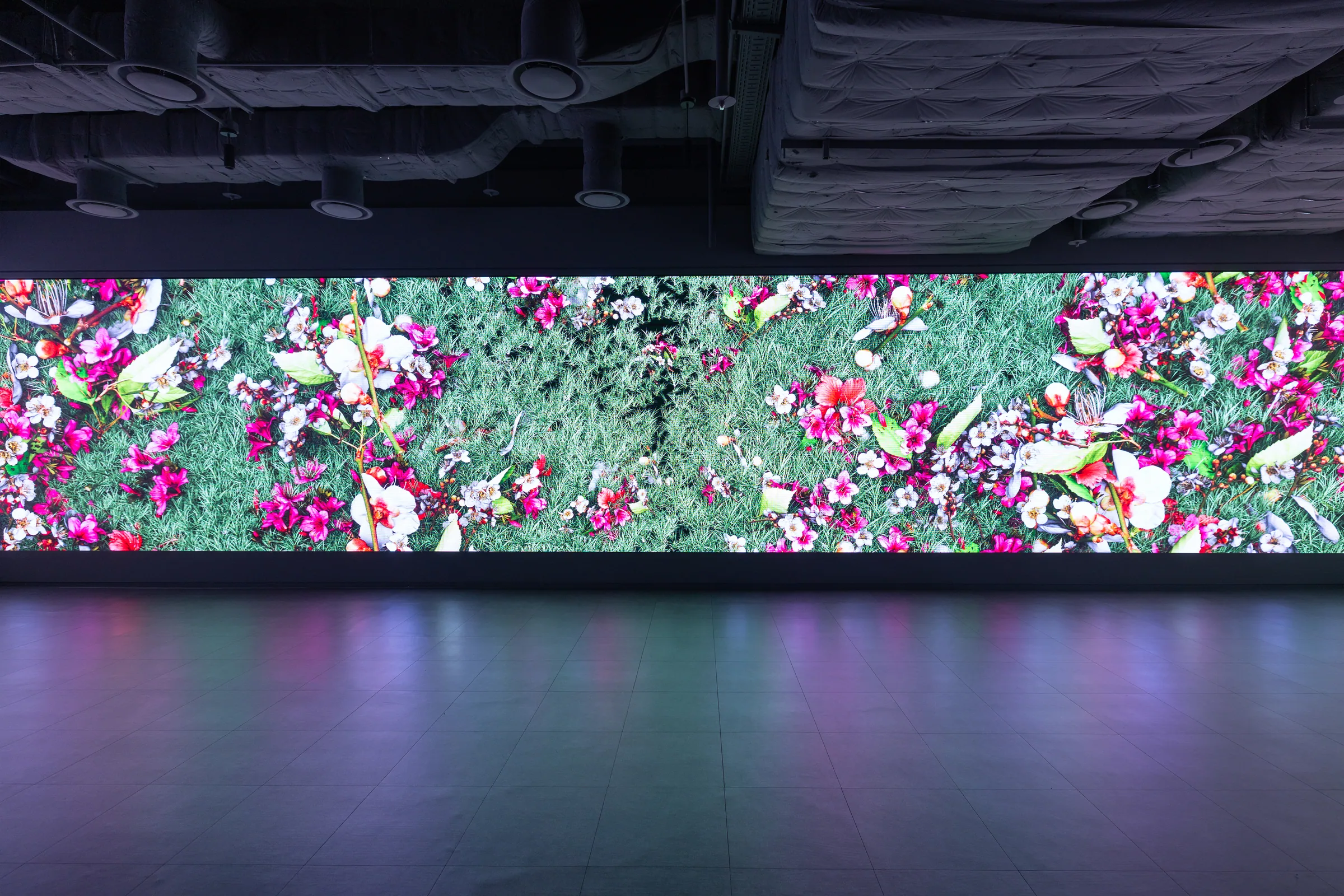 Yiyun Kang, Vanishing 2.0 (2025) — single-channel video, sound, 3'30. Blossoms and insects scattered across grass.
