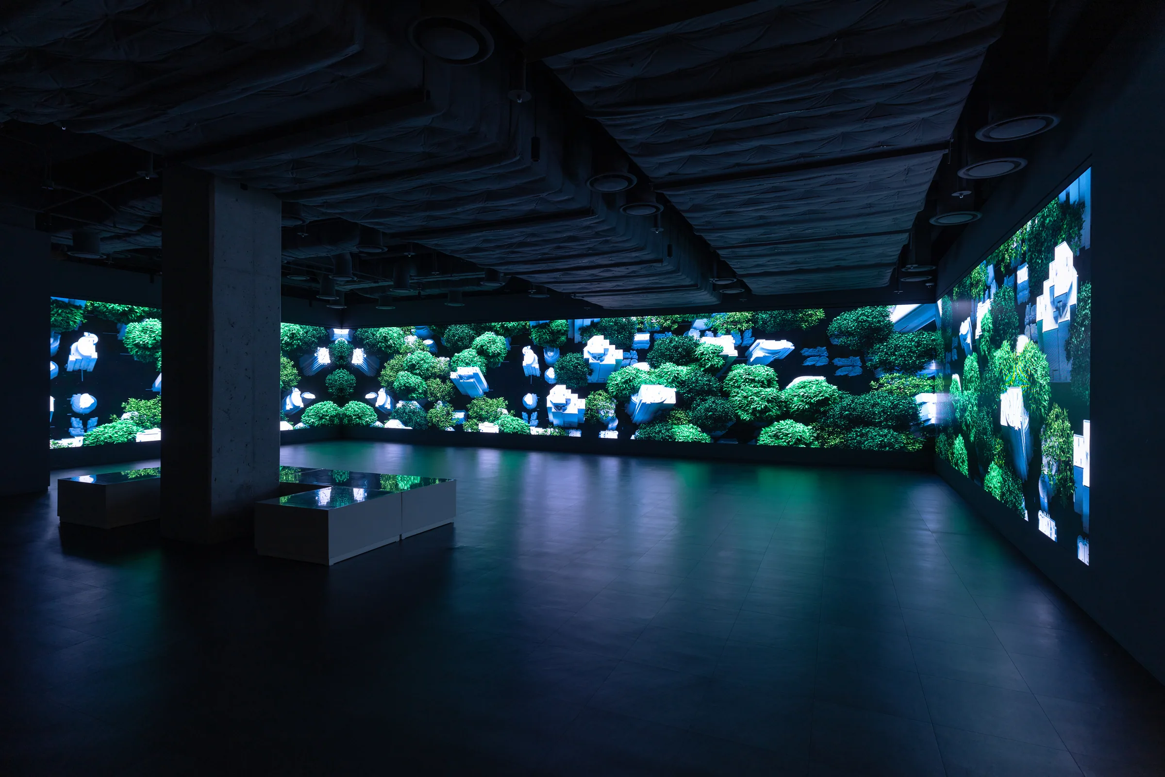 Installation view — Yiyun Kang's Vanishing 2.0 (2025) across a multi-channel media wall. Landscapes after the sixth mass extinction.